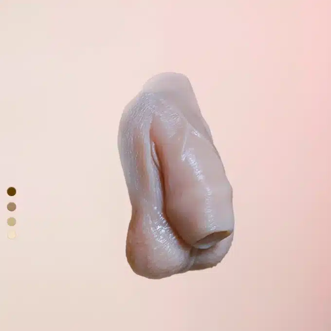 packer prothĂšse penis au repos bwya