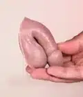 packer plufin transtore bwya réaliste prothèse penis silicone