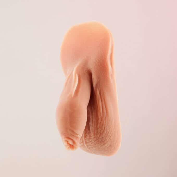Banana-Prosthetics-Soft-Packer-SP6-v2-sideview1
